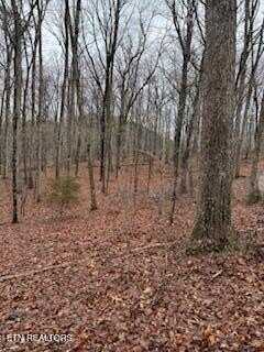 Goose Creek 8.53 Rd, Seymour, TN 37865