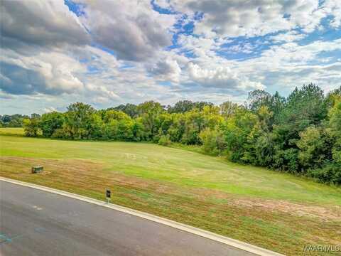 Hidden Oaks Avenue lot: 1, Pike Road, AL 36064
