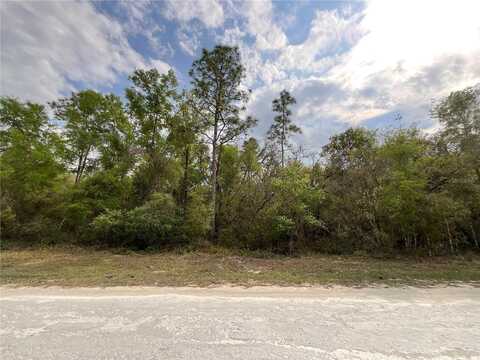 FORGE DRIVE, WEBSTER, FL 33597