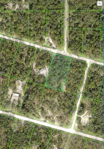 33244 TEAKWOOD DRIVE, WEBSTER, FL 33597