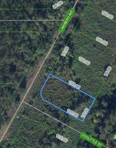 1501 LINDBERG AVENUE, LAKE PLACID, FL 33852