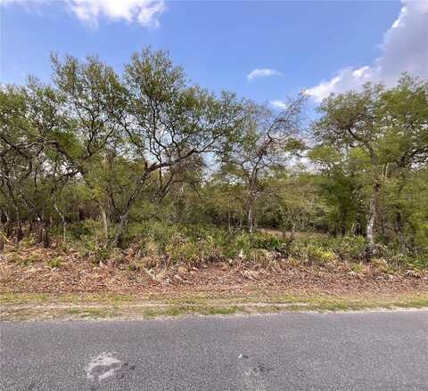 8230 SHASTA STREET, WEBSTER, FL 33597