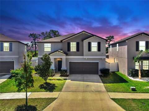 12841 WILDFLOWER MEADOW DRIVE, RIVERVIEW, FL 33579