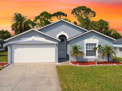 209 OAK BRANCH DRIVE, EDGEWATER, FL 32141