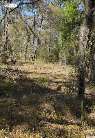 13921 SE 26TH STREET, MORRISTON, FL 32668