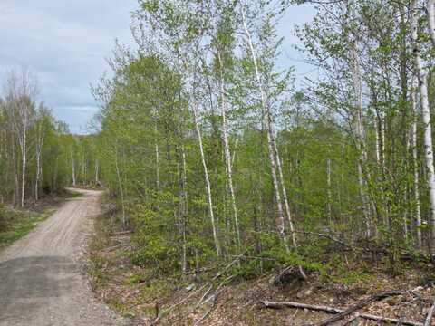 Lot 3 Moores Road, Springfield, ME 04487
