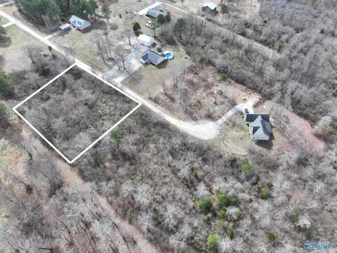 Lot 6 Shady Lane, Geraldine, AL 35974