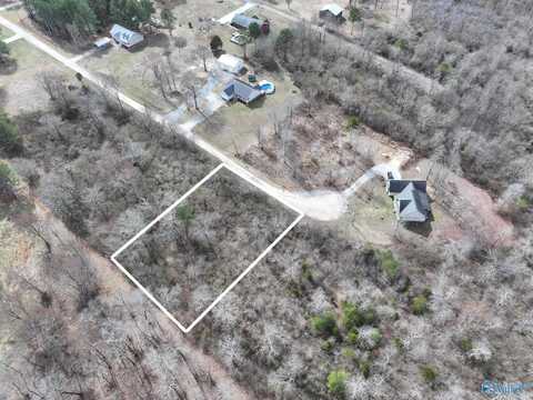 Lot 7 Shady Lane, Geraldine, AL 35974