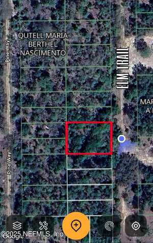 111 ELM Trail, Interlachen, FL 32148