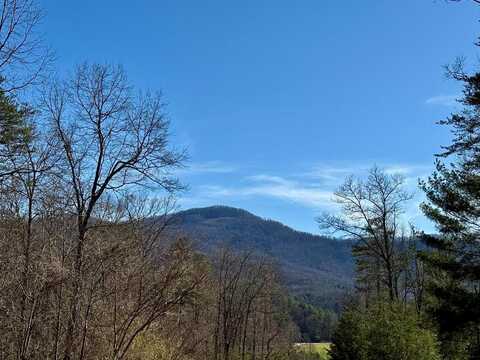 Chimney Top Trail, Murphy, NC 28906