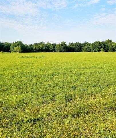 Peach Street, Locust Grove, OK 74352