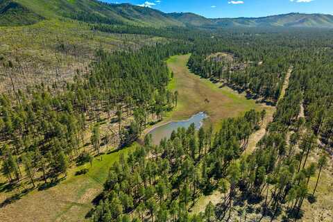 20239 Red Hill Road, Clifton, AZ 85533