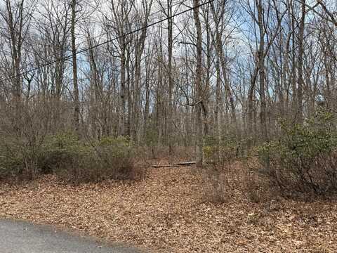 Blackberry Lane, Jim Thorpe, PA 18229