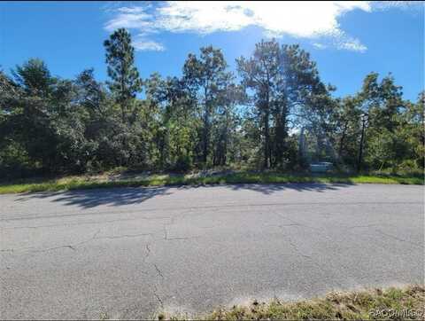 27 Dahlia Court N, Homosassa, FL 34446