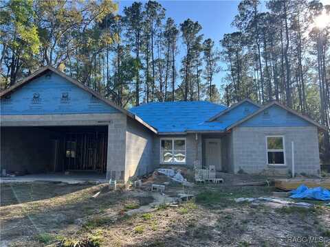 9962 N Athenia Drive, Citrus Springs, FL 34434