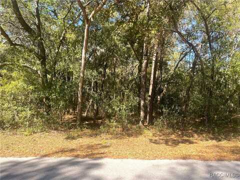 0000 SW 199 Court, Dunnellon, FL 34431