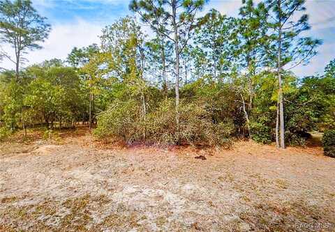 14 Fringetree Court, Homosassa, FL 34446