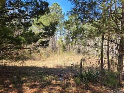 246 &320 Hibiscus, Littleton, NC 27850