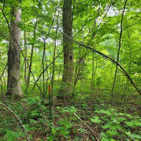 Lake Pointe Court, Pamplin, VA 23958