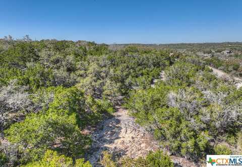 1490 Desiree Street, Canyon Lake, TX 78133