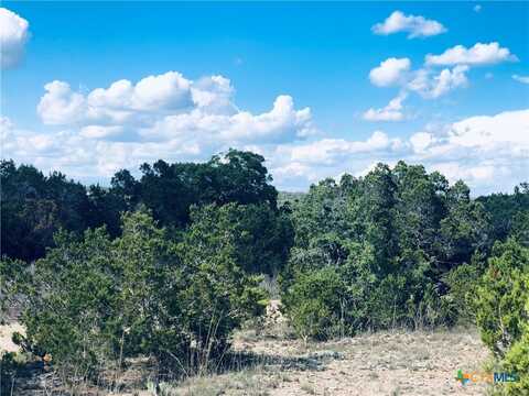 1020 Cliff Circle, Spring Branch, TX 78070