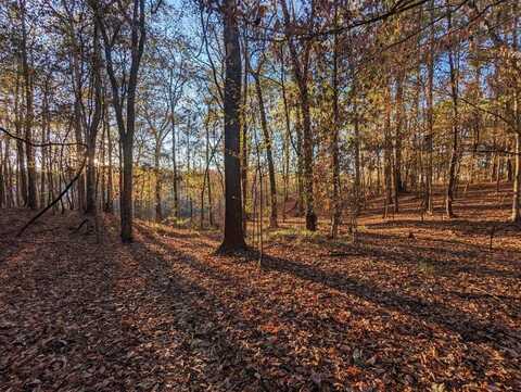 4155 Sterling Lane, Liberty, MS 39645