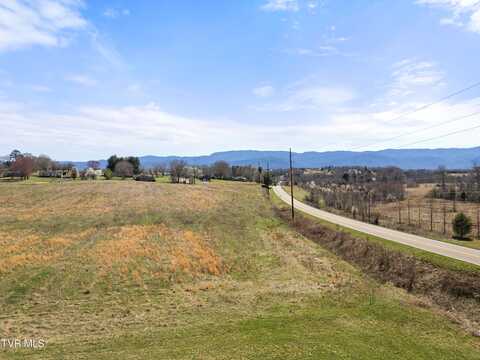 Greenwood Road lot: 21, Afton, TN 37616