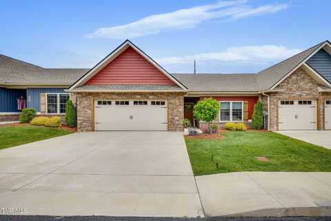 262 Harps Lane, Gray, TN 37615