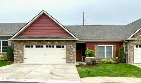 262 Harps Lane, Gray, TN 37615