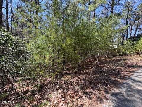 0 Buck Hollow Road, Sugar Grove, VA 24375