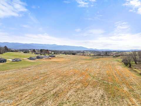 Greenwood Road lot: 20, Afton, TN 37616