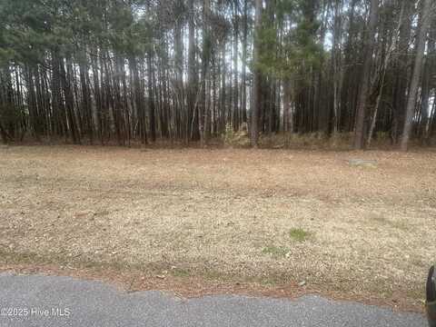 13 Indian Town Creek Drive Drive, Hertford, NC 27944