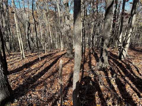 Clover LN, Rogers, AR 72756