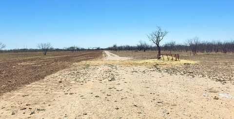 8385 W Grape Creek Rd, San Angelo, TX 76901