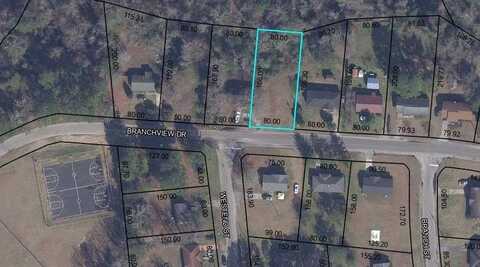 TBD Branchview, Manning, SC 29102