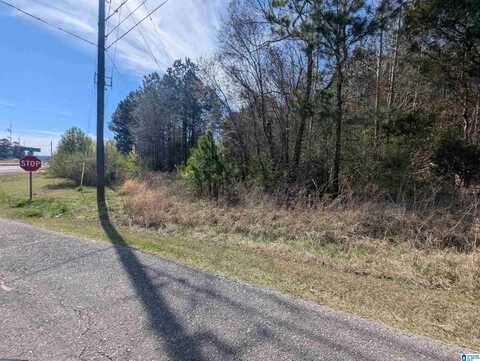 0 SPIRAL STREET, ANNISTON, AL 36201