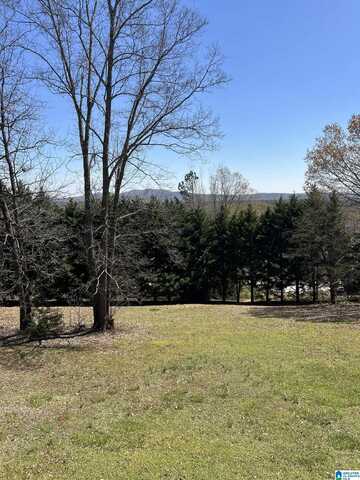 10425 US HIGHWAY 11, SPRINGVILLE, AL 35146