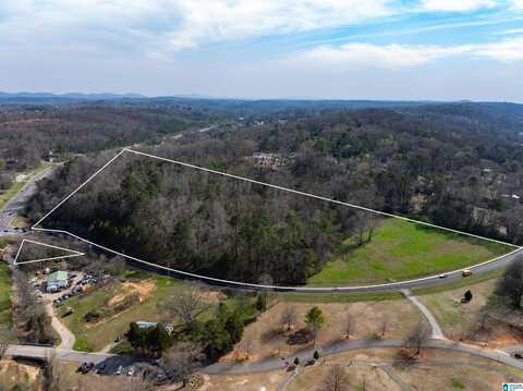 3450 SWEENEY HOLLOW ROAD, PINSON, AL 35126