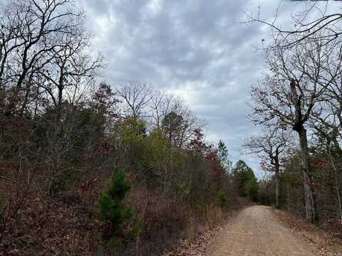 undefined, Waldron, AR 72958