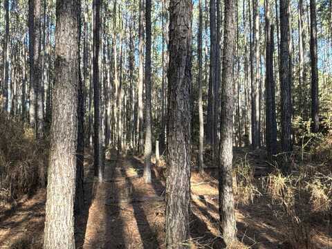 1 West Dallas County Line, Sparkman, AR 71763