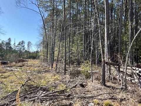 1 West Dallas County Line 20, Sparkman, AR 71763