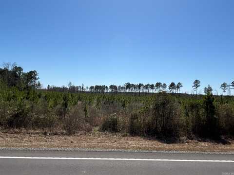 1 W Hwy 7, Dalark, AR 71763