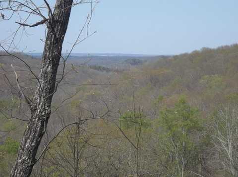 0000 Simmons Road, Pikeville, TN 37367