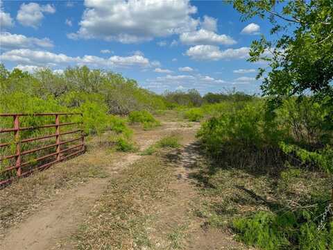 00 King Ln, Beeville, TX 78102