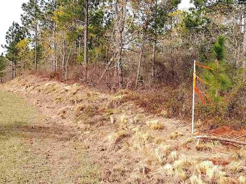 541 Holder Road, Batesburg, SC 29006
