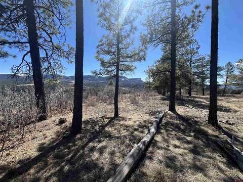 174 Caraway Court, Pagosa Springs, CO 81147