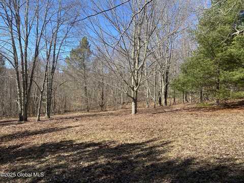 L21.1 Alder Pond Road, Bovina, NY 13740