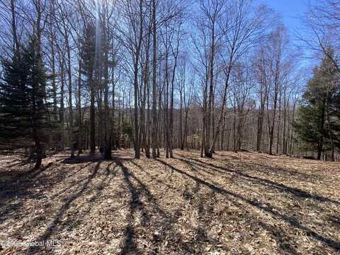 L22.2 Alder Pond Road, Bovina, NY 13740