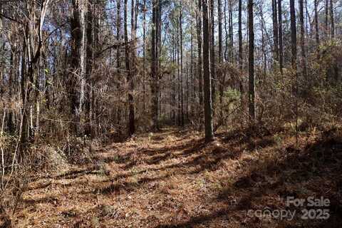 4+/- Ac Lot 1 Skyline Road, Chester, SC 29706