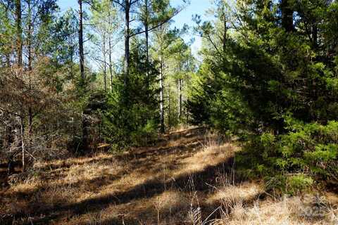 4+/- Ac Lot 2 Skyline Road, Chester, SC 29706